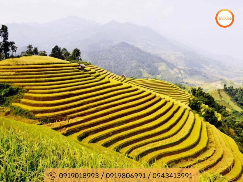 Pù Luông mùa lúa chín - Du lịch 360Go 